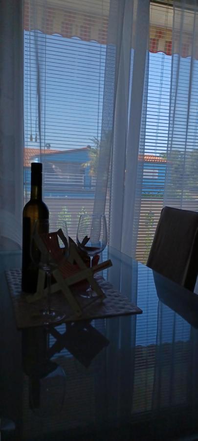 Apartments Vesna Nova Vas  エクステリア 写真