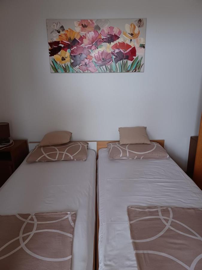 Apartments Vesna Nova Vas  エクステリア 写真