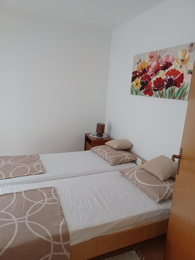 Apartments Vesna Nova Vas  エクステリア 写真