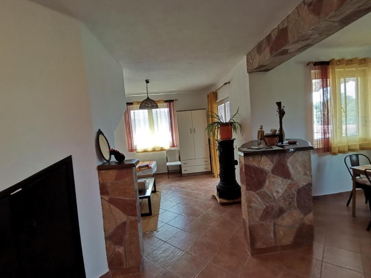 Apartments Vesna Nova Vas  エクステリア 写真